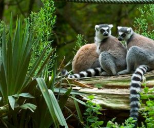 Zoo des Sables d'olonnes