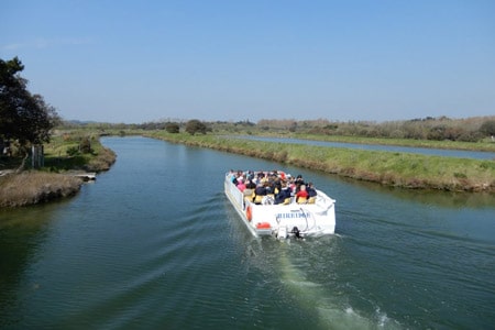 Une balade en bateau dans le marais salant des Sables d'Olonne