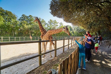 Le zoo des Sables-d'Olonne : un voyage exotique pour découvrir la vie sauvage