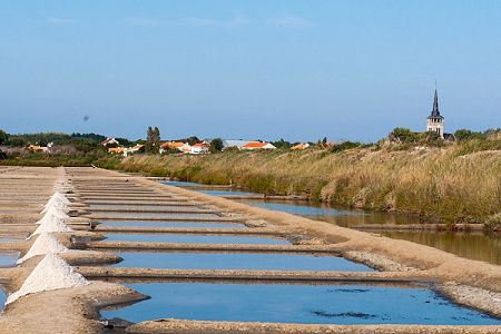 Que faire à L'île d'Olonne : les lieux à ne pas manquer !