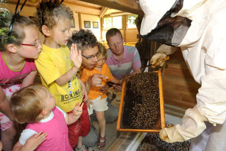 Découvrez la Folie de Finfarine : le monde fascinant des abeilles en Vendée